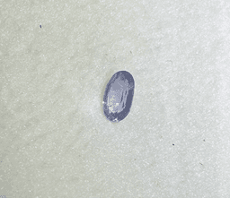 Cornflower Blue Sapphire 3