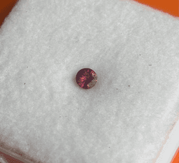 Madagascar Ruby 5